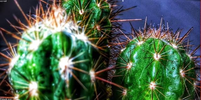 Hottest Tech Stocks for 2026: AI Predictions from ChatGPT & Gemini